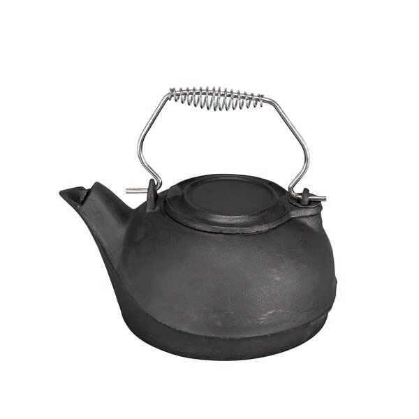 Cast Iron Kettle Steamer | Wayfair